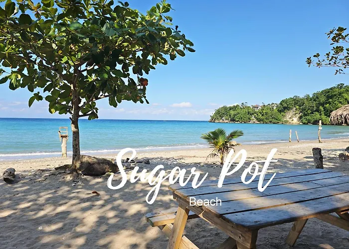 Chrisanns Paradise By The Ocean - Apt#9 Apartamento